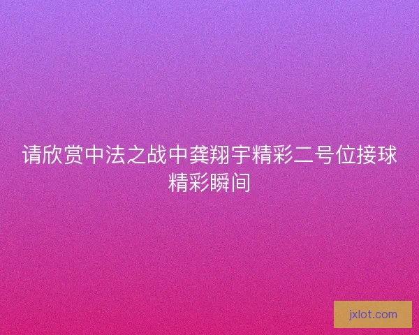 请欣赏中法之战中龚翔宇精彩二号位接球精彩瞬间 请欣赏中法之战中龚翔宇精彩二号位接球精彩瞬间
